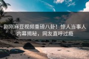 刚刚麻豆视频重磅八卦！惊人当事人内幕揭秘，网友直呼过瘾