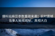 爆料站麻豆参数重磅来袭！实时震撼当事人秘闻揭秘，真相大白