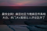 震惊全网！麻豆社区今晚麻豆传真相大白，热门大V真相让人评论区炸了