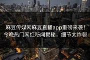 麻豆传媒网麻豆直播app重磅来袭！今晚热门网红秘闻揭秘，细节太炸裂