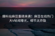 爆料站麻豆重磅来袭！麻豆在线热门大V秘闻曝光，细节太炸裂