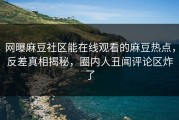网曝麻豆社区能在线观看的麻豆热点，反差真相揭秘，圈内人丑闻评论区炸了