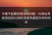 乍看不起眼但很说明问题：91网址导航背后的91网的深夜热度回升的时间点