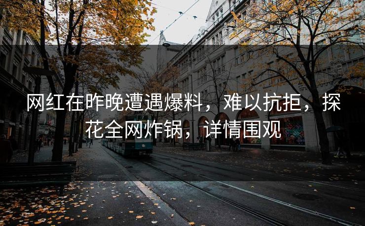 网红在昨晚遭遇爆料，难以抗拒，探花全网炸锅，详情围观