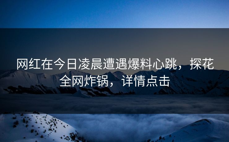 网红在今日凌晨遭遇爆料心跳，探花全网炸锅，详情点击