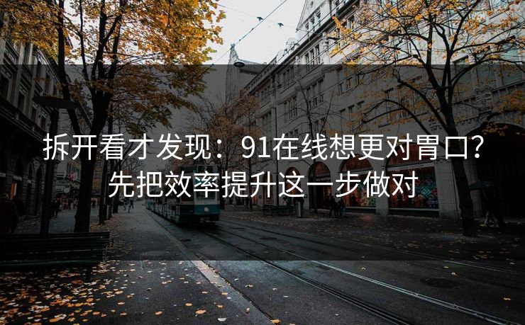 拆开看才发现：91在线想更对胃口？先把效率提升这一步做对