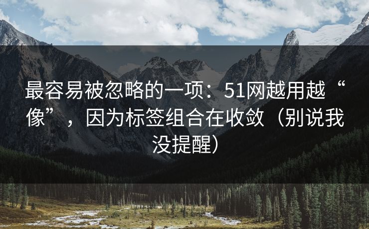 最容易被忽略的一项:51网越用越“像”,因为标签组合在收敛(别说我没提醒) 最容易被忽略的一项:51网越用越“像”,因为标签组合在收敛(别说我没提醒)